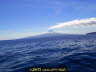 PICT8602b